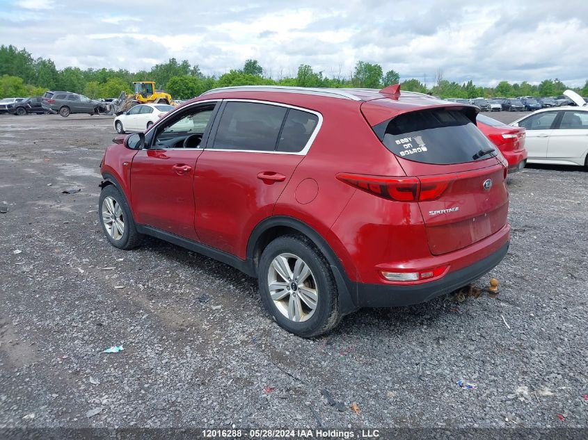 2017 Kia Sportage Lx VIN: KNDPMCAC3H7278052 Lot: 12016288