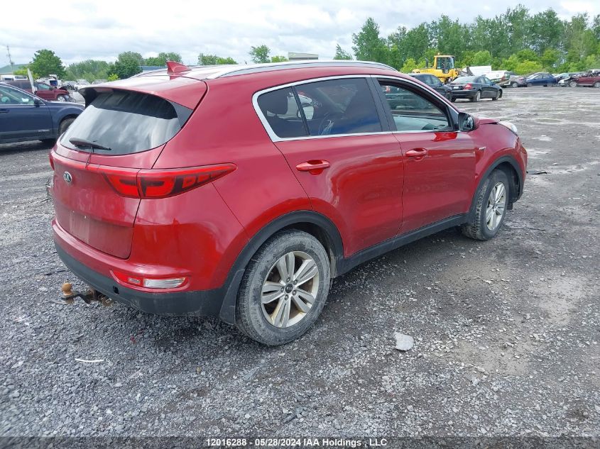 2017 Kia Sportage Lx VIN: KNDPMCAC3H7278052 Lot: 12016288