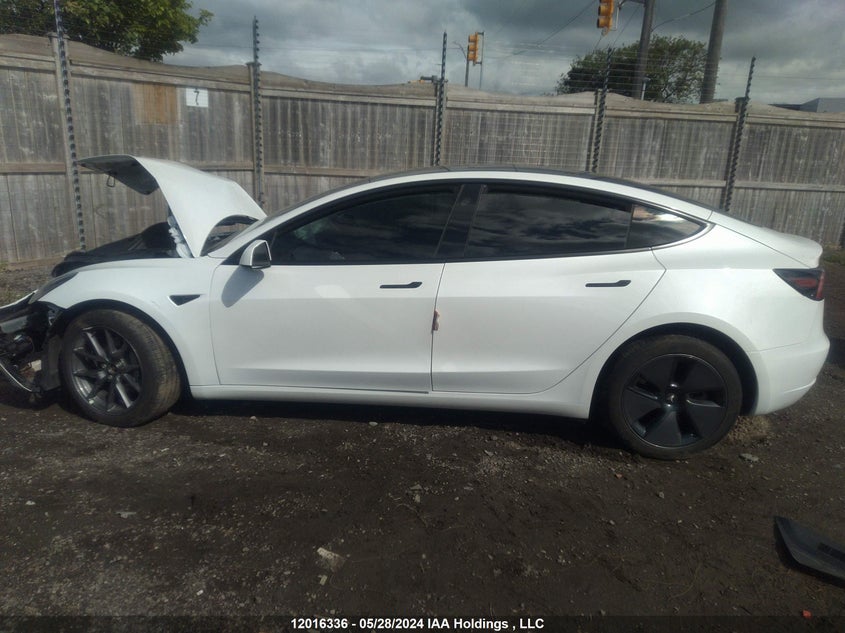 2023 Tesla Model 3 VIN: LRW3E1EBXPC872397 Lot: 12016336