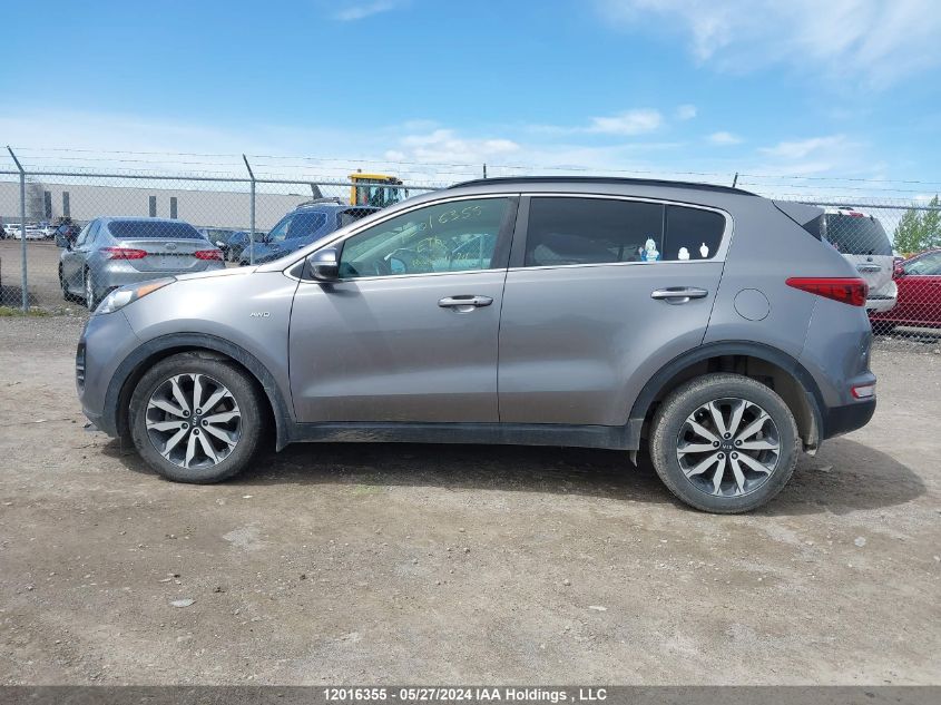 2018 Kia Sportage VIN: KNDPNCAC8J7443693 Lot: 12016355