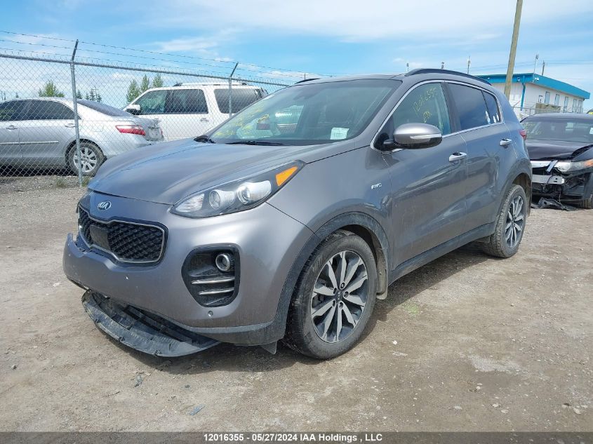 2018 Kia Sportage VIN: KNDPNCAC8J7443693 Lot: 12016355