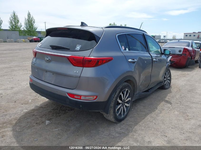 2018 Kia Sportage VIN: KNDPNCAC8J7443693 Lot: 12016355