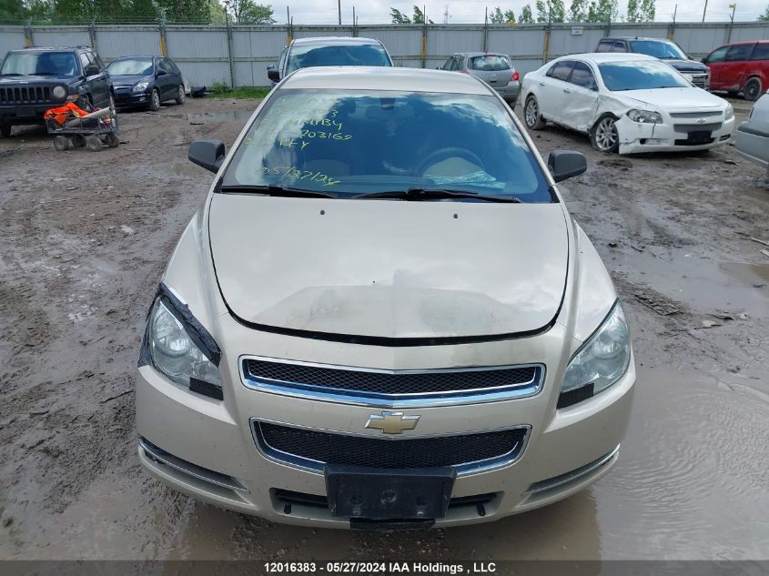 2009 Chevrolet Malibu VIN: 1G1ZG57B494203169 Lot: 12016383