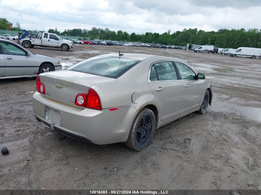 2009 Chevrolet Malibu VIN: 1G1ZG57B494203169 Lot: 12016383