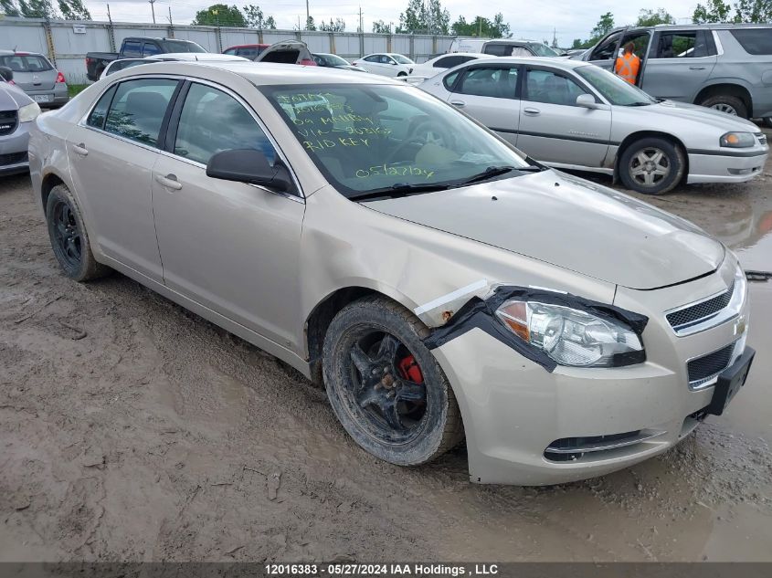 2009 Chevrolet Malibu VIN: 1G1ZG57B494203169 Lot: 12016383