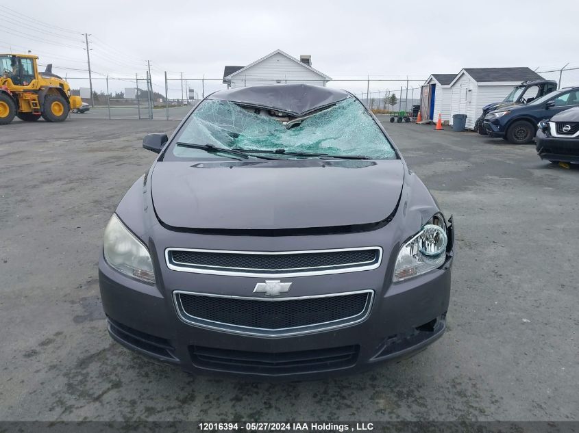 2010 Chevrolet Malibu VIN: 1G1ZB5E06AF239552 Lot: 12016394