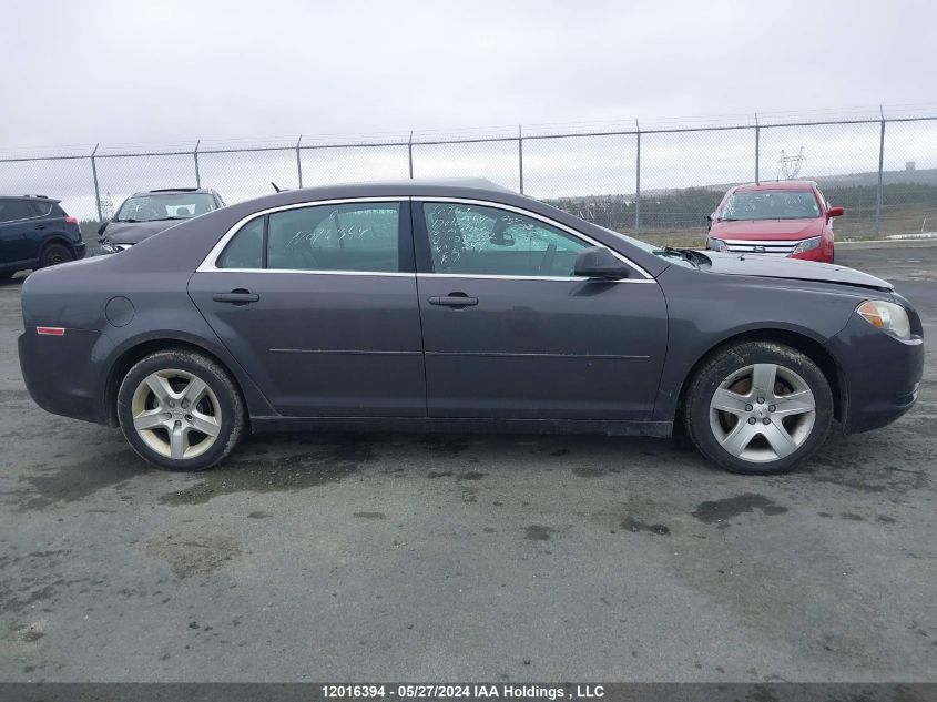 2010 Chevrolet Malibu VIN: 1G1ZB5E06AF239552 Lot: 12016394