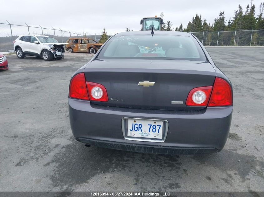 2010 Chevrolet Malibu VIN: 1G1ZB5E06AF239552 Lot: 12016394