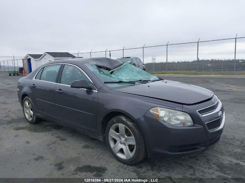 2010 Chevrolet Malibu VIN: 1G1ZB5E06AF239552 Lot: 12016394