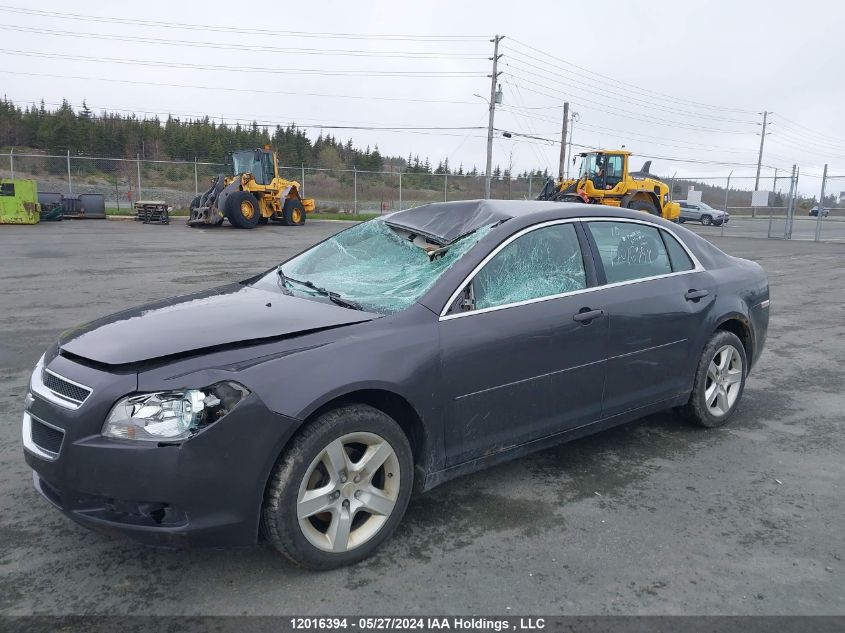 2010 Chevrolet Malibu VIN: 1G1ZB5E06AF239552 Lot: 12016394