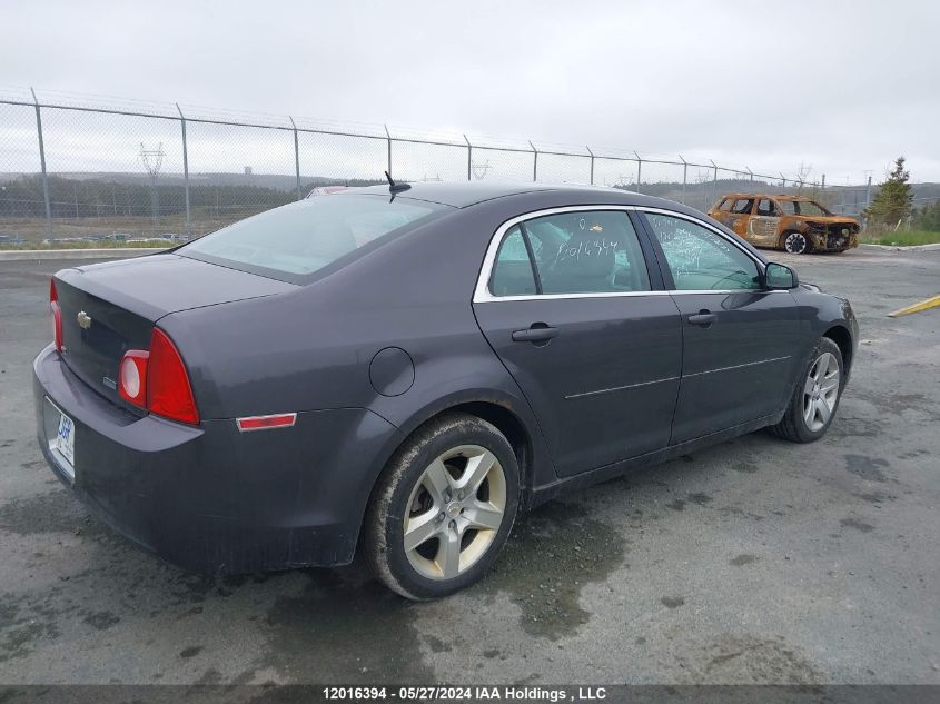 2010 Chevrolet Malibu VIN: 1G1ZB5E06AF239552 Lot: 12016394