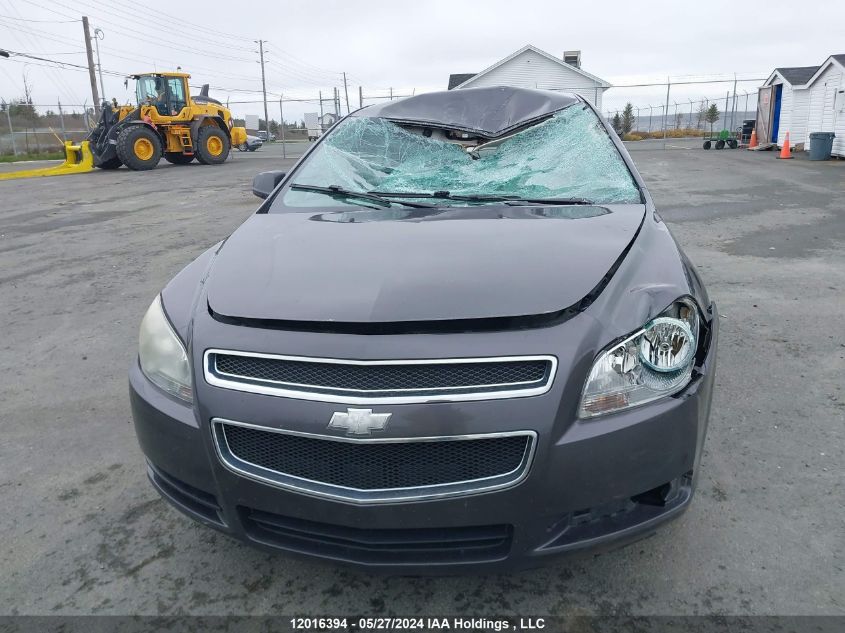 2010 Chevrolet Malibu VIN: 1G1ZB5E06AF239552 Lot: 12016394