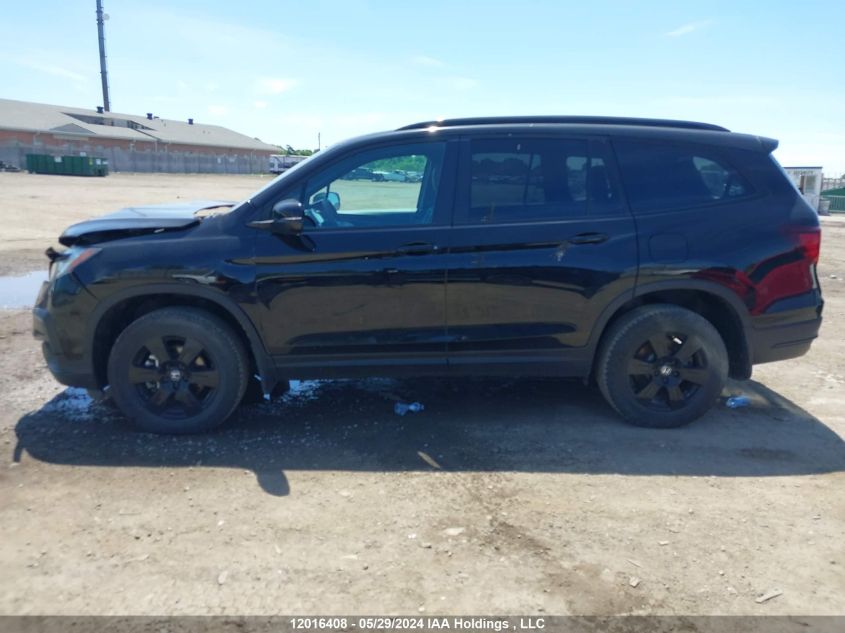 2022 Honda Pilot VIN: 5FNYF6H8XNB503493 Lot: 12016408