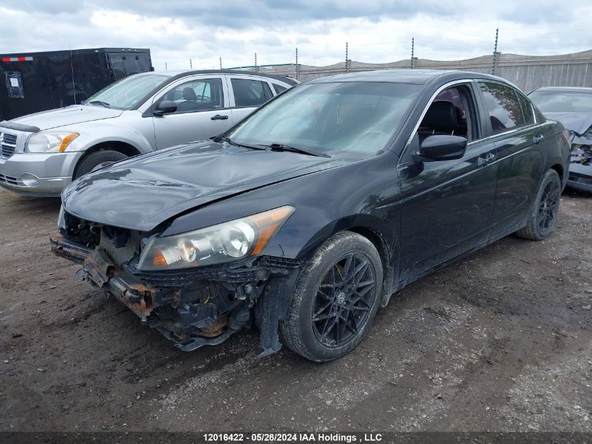 2011 Honda Accord Sedan VIN: 1HGCP2F82BA804431 Lot: 12016422