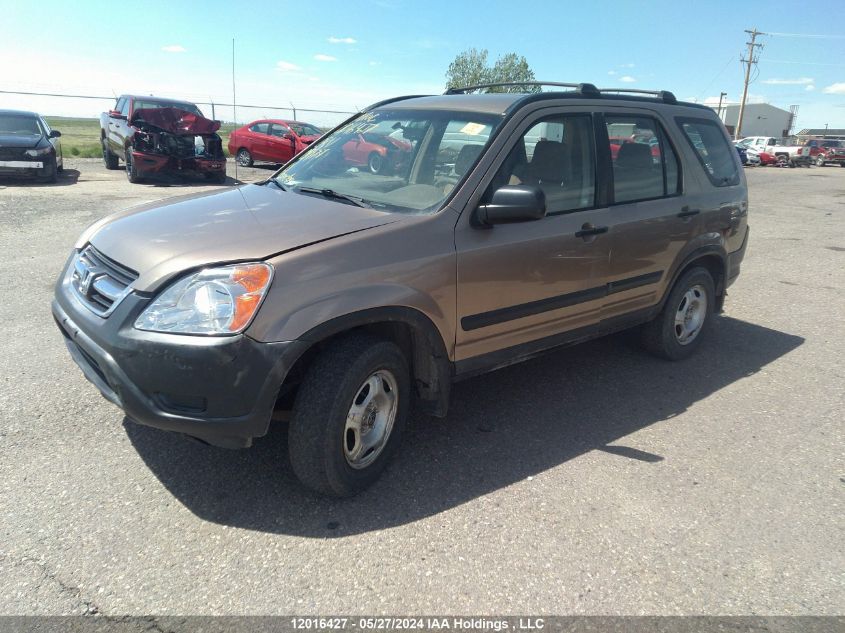 2003 Honda Cr-V VIN: JHLRD77423C809177 Lot: 12016427