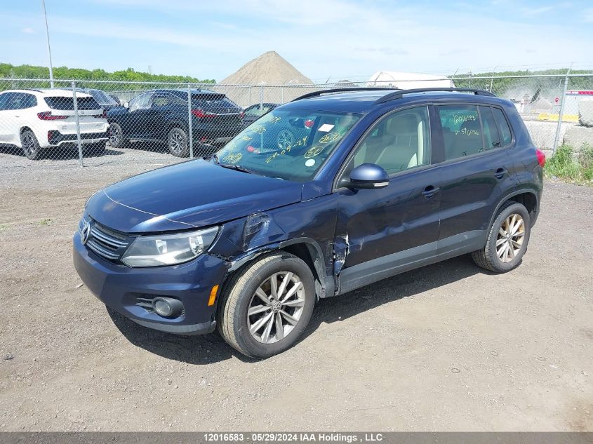 2013 Volkswagen Tiguan VIN: WVGJV3AXXDW596056 Lot: 12016583