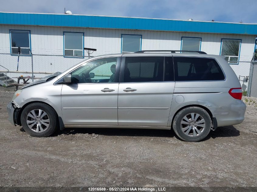 2006 Honda Odyssey Ex VIN: 5FNRL38416B501190 Lot: 12016589