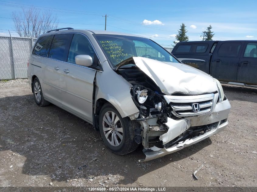 2006 Honda Odyssey Ex VIN: 5FNRL38416B501190 Lot: 12016589