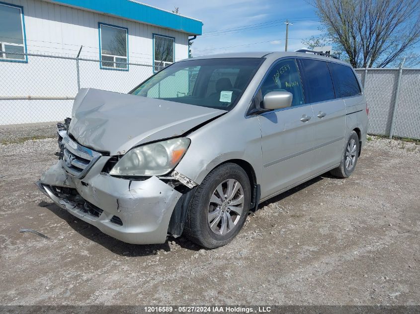 2006 Honda Odyssey Ex VIN: 5FNRL38416B501190 Lot: 12016589