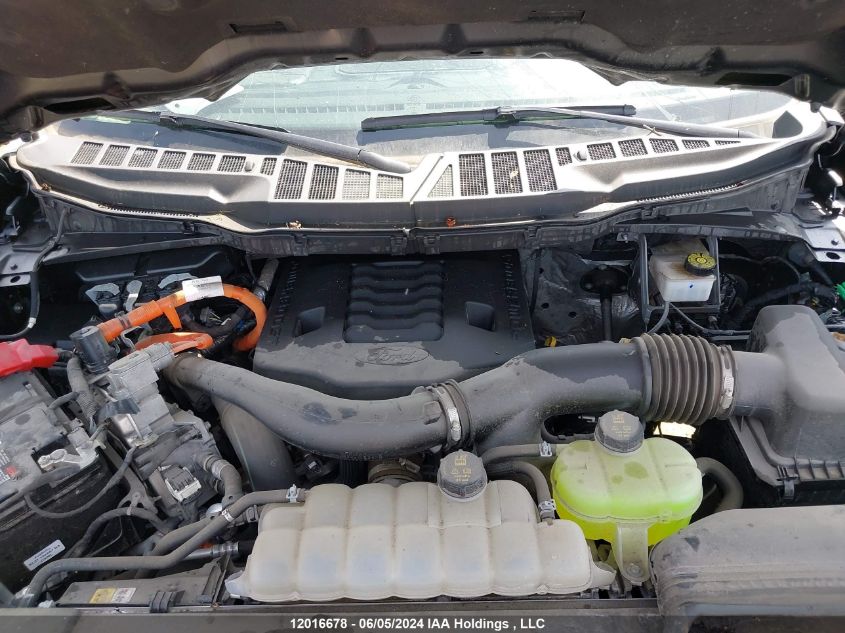 2022 Ford F-150 Lariat VIN: 1FTFW1ED5NFB35019 Lot: 12016678