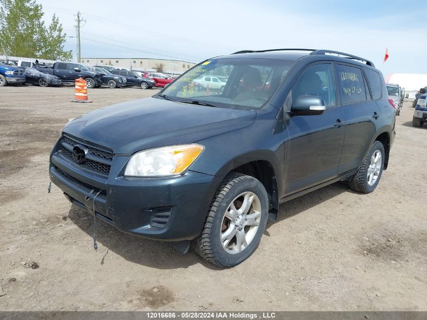 2010 Toyota Rav4 VIN: 2T3BF4DV1AW048835 Lot: 12016686