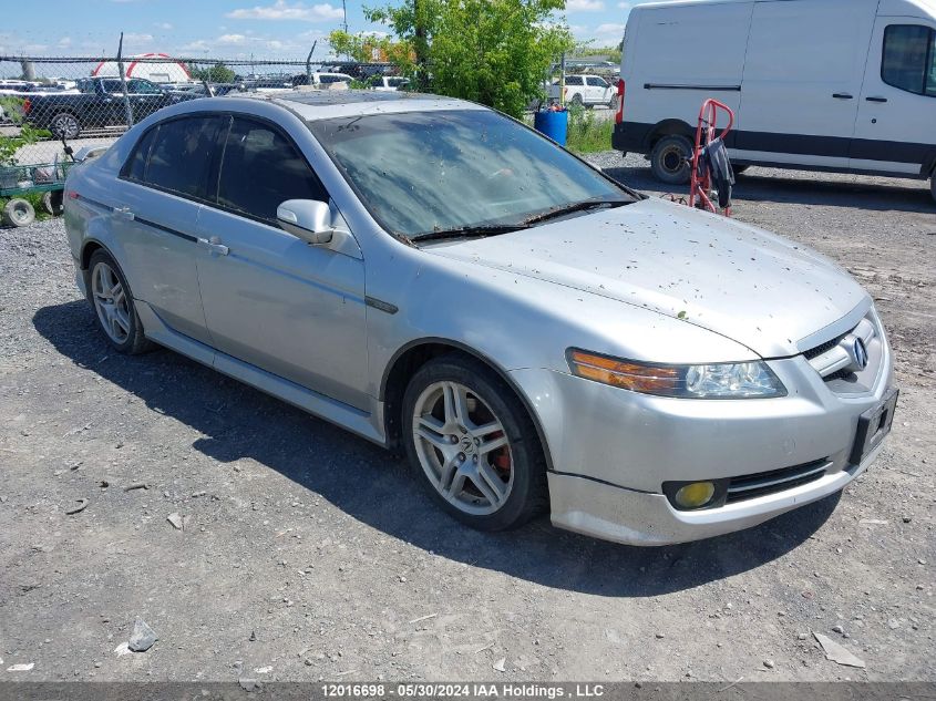 2008 Acura Tl VIN: 19UUA66208A800623 Lot: 12016698