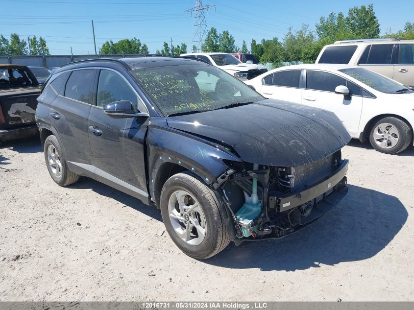 2024 Hyundai Tucson Trend Awd VIN: KM8JCCDE1RU319766 Lot: 12016731