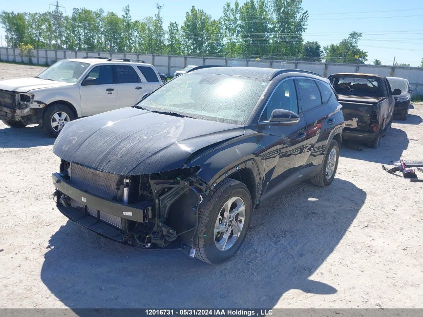 2024 Hyundai Tucson Trend Awd VIN: KM8JCCDE1RU319766 Lot: 12016731