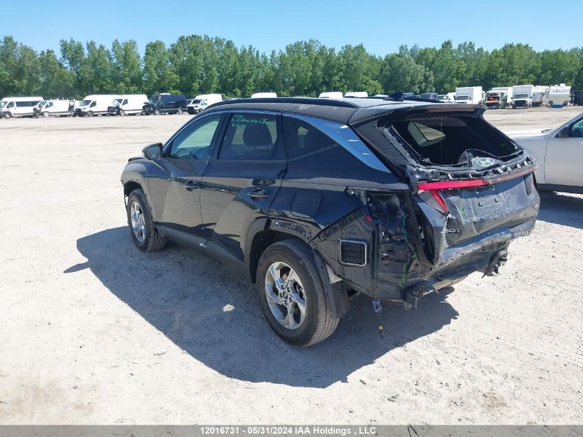 2024 Hyundai Tucson Trend Awd VIN: KM8JCCDE1RU319766 Lot: 12016731