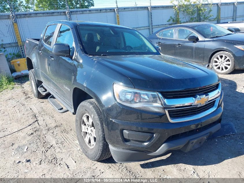 2019 Chevrolet Colorado VIN: 1GCGTBENXK1271666 Lot: 12016764