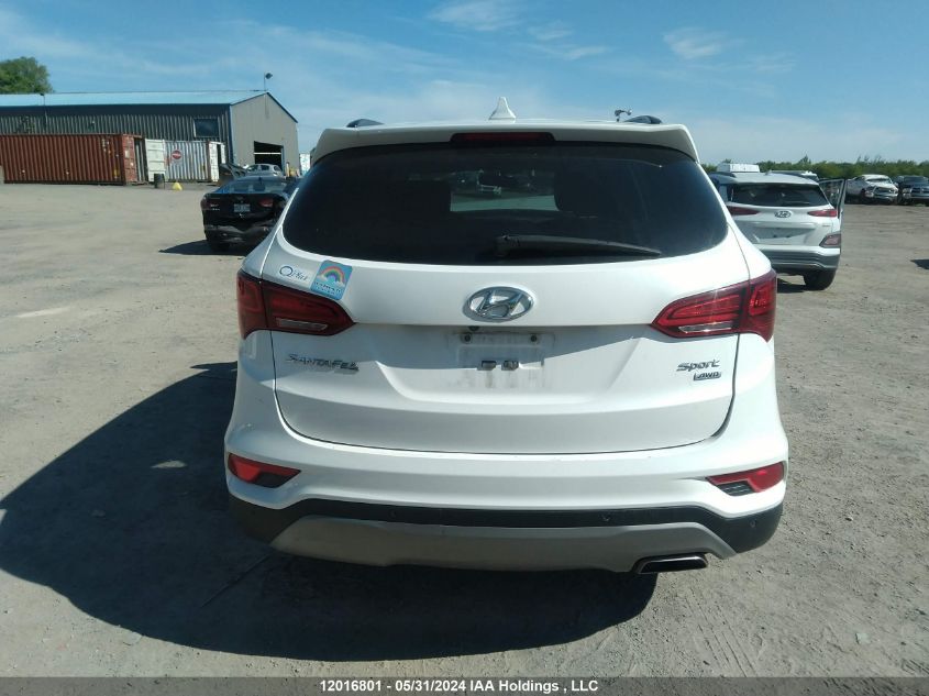 2017 Hyundai Santa Fe Sport 2.4 Premium VIN: 5XYZUDLB5HG477206 Lot: 12016801