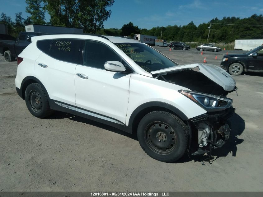 2017 Hyundai Santa Fe Sport 2.4 Premium VIN: 5XYZUDLB5HG477206 Lot: 12016801