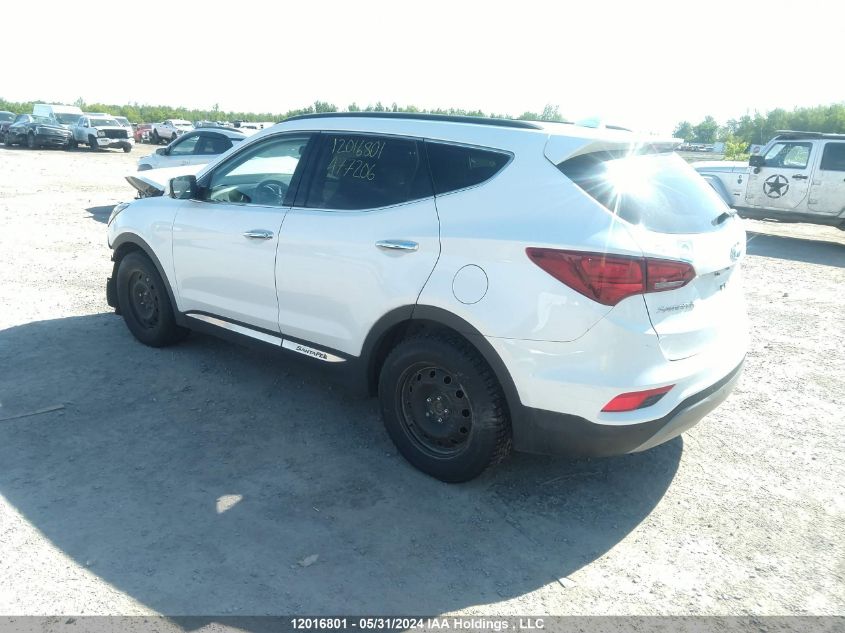 2017 Hyundai Santa Fe Sport 2.4 Premium VIN: 5XYZUDLB5HG477206 Lot: 12016801