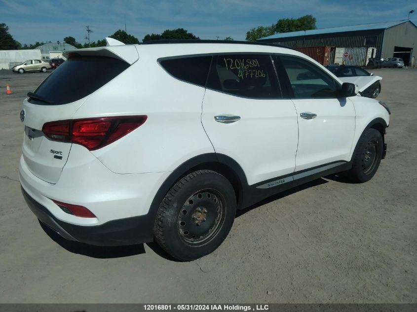 2017 Hyundai Santa Fe Sport 2.4 Premium VIN: 5XYZUDLB5HG477206 Lot: 12016801