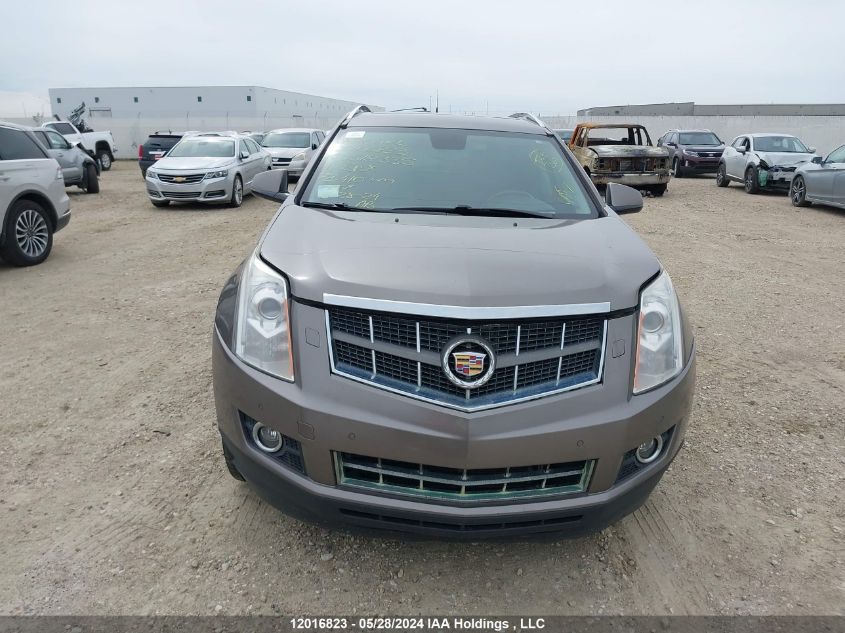 2011 Cadillac Srx VIN: 3GYFNEEY4BS518335 Lot: 12016823