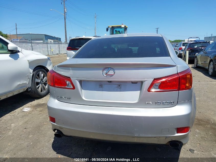 2009 Lexus Is 250 VIN: JTHCK262892031217 Lot: 12016841