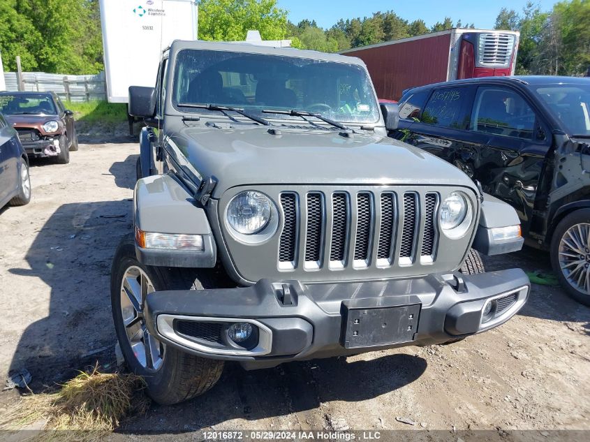 2023 Jeep Wrangler Sahara VIN: 1C4HJXEG4PW586739 Lot: 12016872