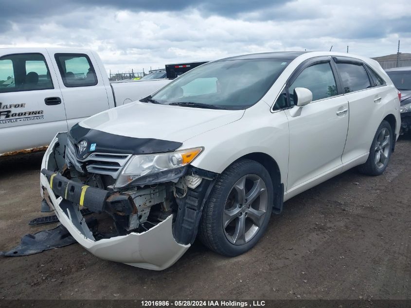 2010 Toyota Venza VIN: 4T3BK3BB5AU032832 Lot: 12016986