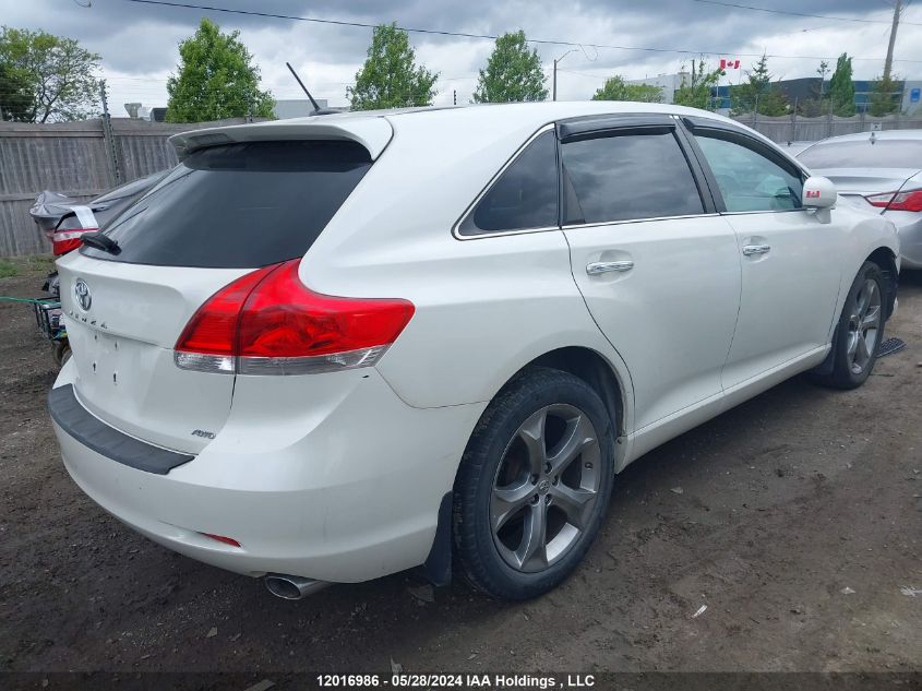 2010 Toyota Venza VIN: 4T3BK3BB5AU032832 Lot: 12016986