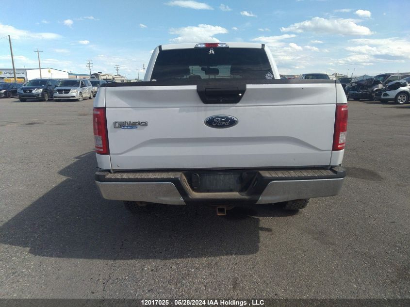 2016 Ford F-150 Xlt VIN: 1FTEW1EP2GKE80279 Lot: 12017025