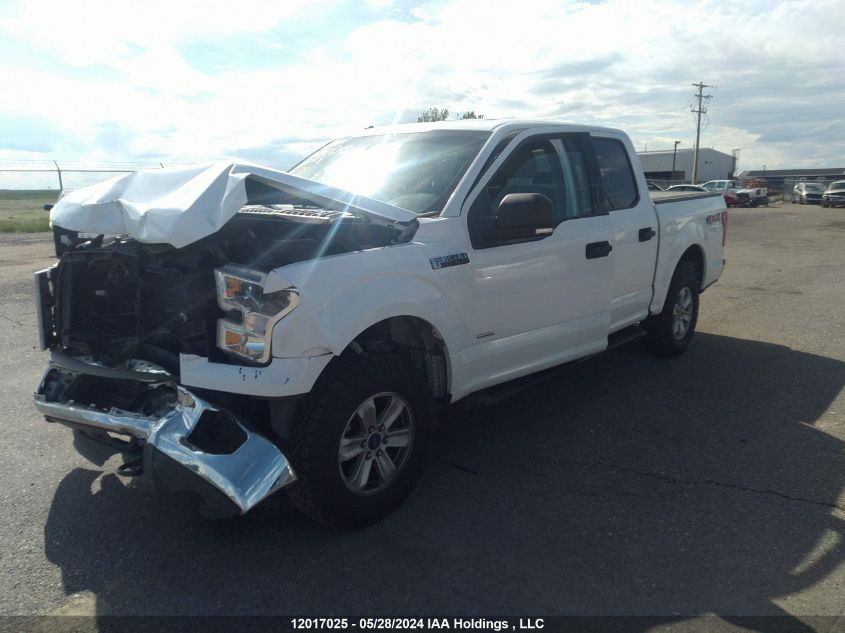 2016 Ford F-150 Xlt VIN: 1FTEW1EP2GKE80279 Lot: 12017025