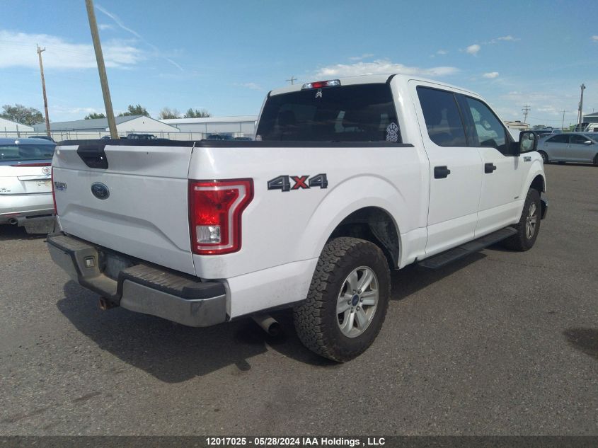 2016 Ford F-150 Xlt VIN: 1FTEW1EP2GKE80279 Lot: 12017025