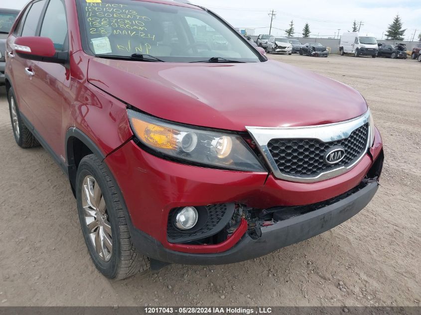 2011 Kia Sorento VIN: 5XYKUDA2XBG075810 Lot: 12017043