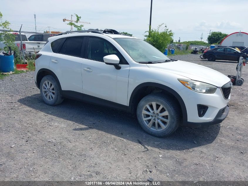 2014 Mazda Cx-5 Touring VIN: JM3KE4CY7E0313595 Lot: 12017186