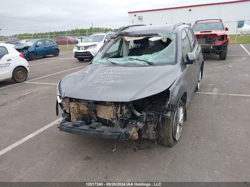 2014 Volkswagen Tiguan VIN: WVGJV3AX0EW507516 Lot: 12017240