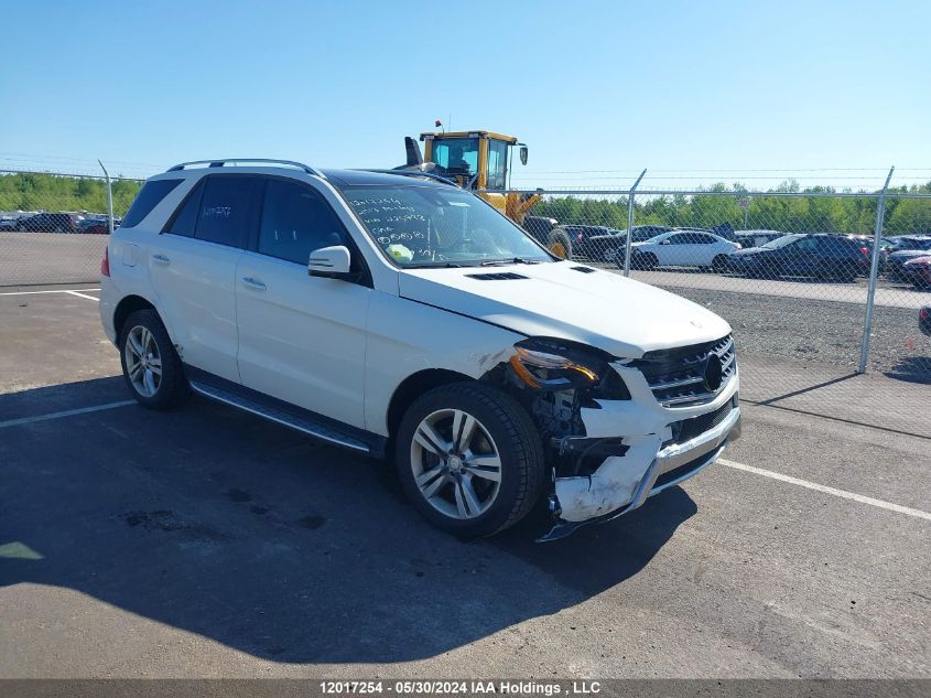 2013 Mercedes-Benz Ml-Class VIN: 4JGDA2EB4DA225733 Lot: 12017254