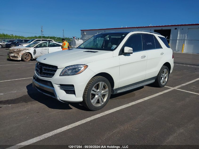 2013 Mercedes-Benz Ml-Class VIN: 4JGDA2EB4DA225733 Lot: 12017254