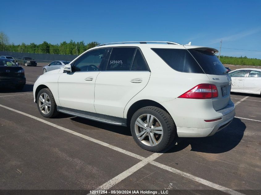 2013 Mercedes-Benz Ml-Class VIN: 4JGDA2EB4DA225733 Lot: 12017254