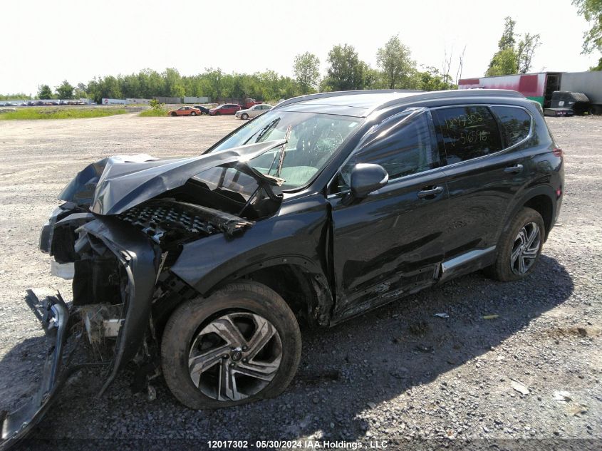 2023 Hyundai Santa Fe Preferred Awd With Trend Package VIN: 5NMS3DAJ6PH516596 Lot: 12017302