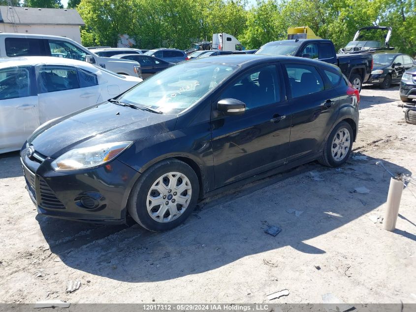 2014 Ford Focus VIN: 1FADP3K21EL377087 Lot: 12017312